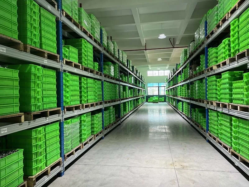 Warehouse 6